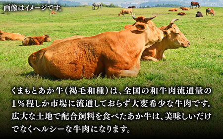 【全6回定期便】GI認証 くまもとあか牛 焼肉用 約500ｇ 焼肉用[AYCP063]