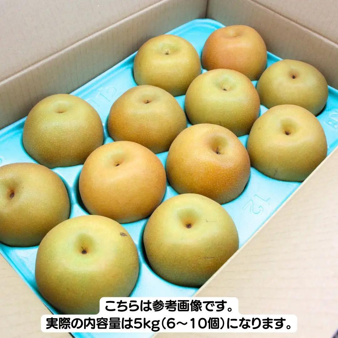 【ふるなびWEEK対象】【2026年9月下旬から発送開始】《先行予約》《優品》 にっこり梨 5kg 6玉～10玉 茨城県共通返礼品／かすみがうら市 鈴木農園 産地直送 フルーツ 甘い 直送 茨城 限定