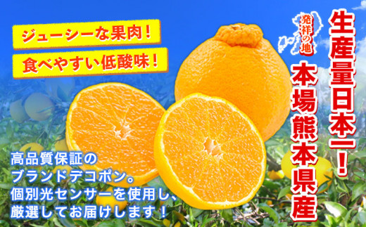 露地デコポン 約1.8kg(3-5玉前後) 《2027年2月上旬-2月末頃出荷》 柑橘 不知火 デコポン みかん フルーツ 果物 旬 ご家庭用 訳あり みかん 好き必見