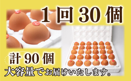 たまご 卵 定期便 3ヶ月分 30個 × 3ヶ月 計 90個  ( 26個 ＋ 割れ保障 4個 ) ×3ヶ月分 産みたて 生たまご ( 新鮮卵 卵10個×3パック 卵30個 下関の卵 豊北卵 ハーブ鳥