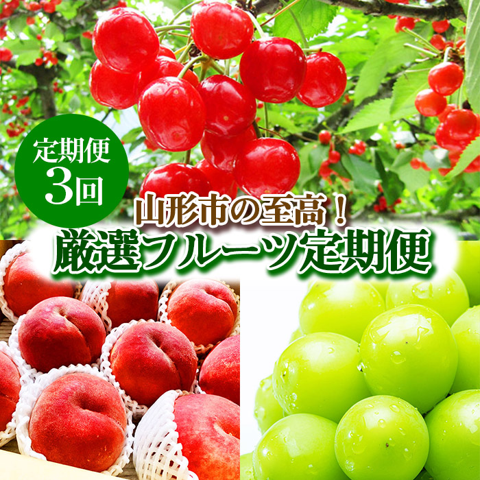 【定期便3回】山形市の至高！山形市厳選フルーツ定期便 【