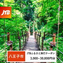 【ふるさと納税】【八王子市】JTBふるさと旅行クーポン（Eメール発行）（3,000円分～30,000円分）