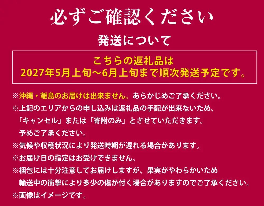 【2027年5月上旬～6月上旬発送予定】いちご「けんたろう」2トレーセット 