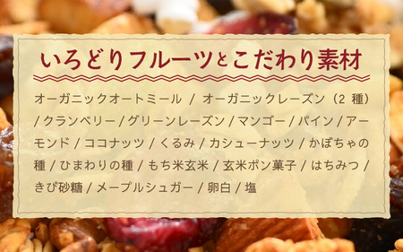 無添加 自家製 フルーツグラノーラ 250g×2袋（計500g） ／ 着色料不使用 オーガニック 果物 ドライフルーツ オートミール ヨーグルト 牛乳 シリアル 朝食 グルメ お取り寄せ ギフト 国産