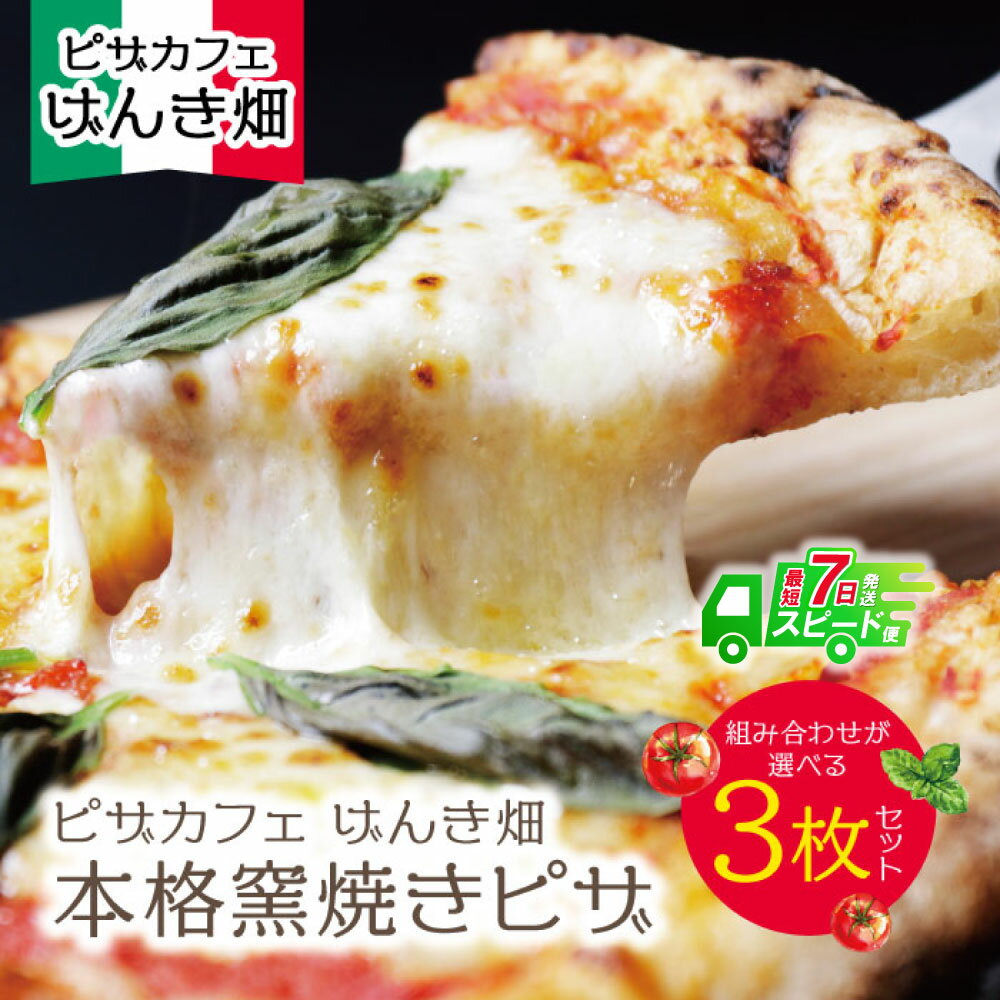 【ふるさと納税】 げんき畑 ピザ 3枚セット＜(赤・白)＆お好みのピザ＞3枚セット 最短発送 ピッツァ 専門店 パーティー 冷凍 送料無料 手作り こだわり 人気 食べ比べ 常備 定番 母の日 父の日 ギフト U24