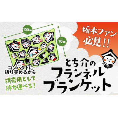 ふるさと納税 栃木市 とち介のフランネルブランケット