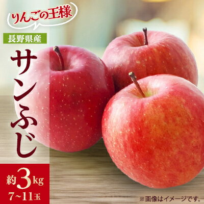 【ふるさと納税】りんごの王様　長野県産 りんご　サンふじ　約3kg(7～11玉程度)_ りんご 林檎 果物 くだもの フルーツ サンふじ 長野県 産地直送 送料無料 お取り寄せ ギフト 贈答 プレゼント 信州 【1541945】