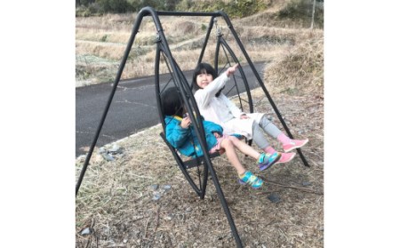 ツヨニーの 家庭用ブランコ 【葉っぱ ブランコ ワイドタイプ】［(S)1586］