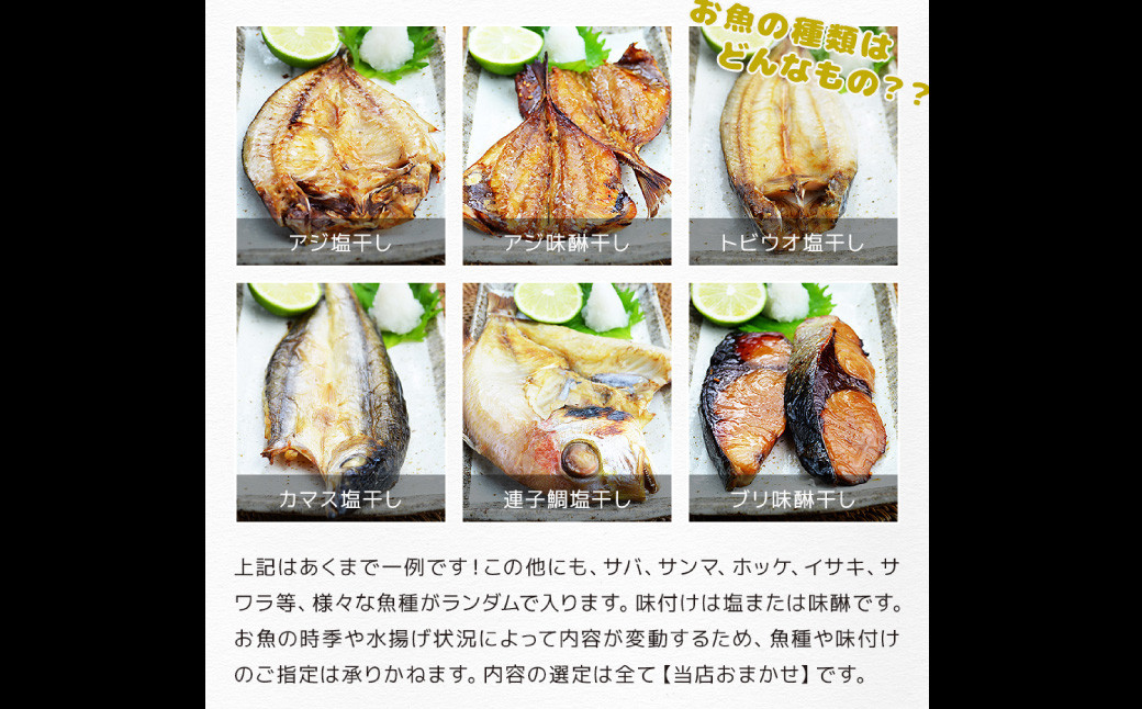 【最長2ヵ月前後】訳ありおまかせ干物 4種類 (12枚) とカラスミ詰め合わせ