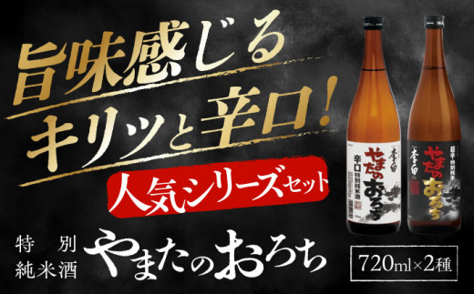 食事を格上げする一杯！李白【特別純米】やまたのおろち 辛口・超辛口720ml×2本セット 島根県松江市/李白酒造有限会社 [ALDF002]