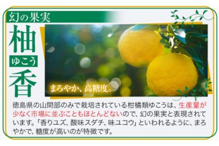 しあわせアイス 5種 セット 計6個 彩食品グループ 《30日以内に出荷予定(土日祝除く)》アイス アイスクリーム ご当地 スイーツ ご当地 アイス 特産品 柑橘 柚香 晩茶 お取り寄せ カップ ジェ