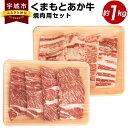 【ふるさと納税】くまもとあか牛 焼肉用セット 合計約1kg あか牛 牛肉 和牛 赤身肉 肉 肩ロース カルビ 国産 九州産 熊本県産 焼肉 セット 詰め合わせ 食品 冷凍 送料無料