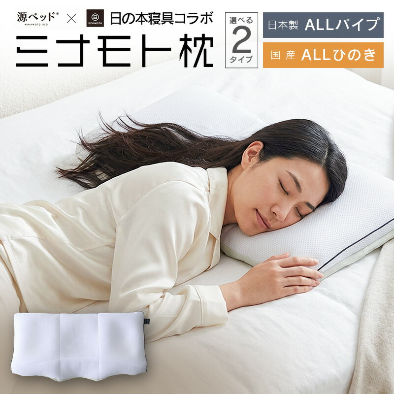 【ふるさと納税】日の本寝具コラボ ミナモト枕 ALLパイプタイプ