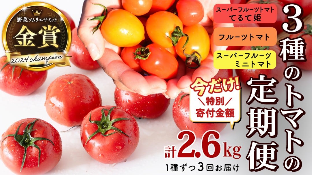 
            【1/31まで特別寄附金額】【 3回定期便 】 厳選 フルーツトマト 3品種セット（ 毎月1種ずつお届け ） てるて姫 ミニトマト 2026年収穫分 先行予約 フルーツトマト ブランドトマト 野菜 [BC091sa]	
          