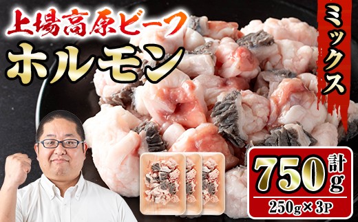 i1157 上場高原和牛ミックスホルモン(計750g・250g×3P) 上場高原ビーフ ホルモン ミックスホルモン 焼肉 鉄板焼き もつ鍋 炒めもの 冷凍 小分け 牛肉 【スーパーよしだ】