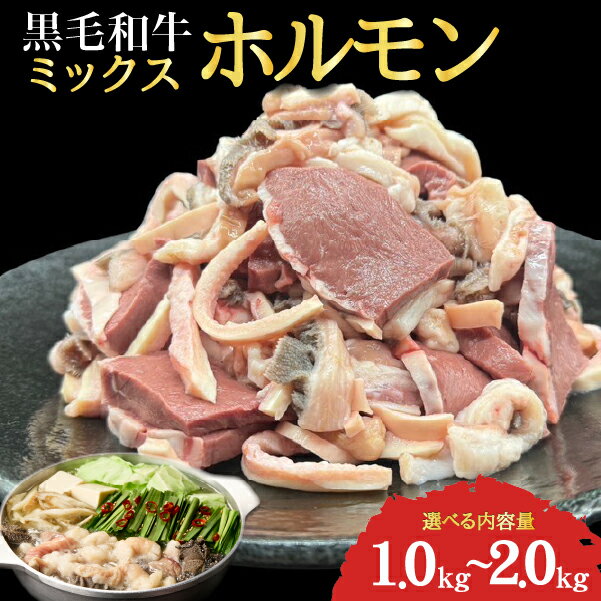 【ふるさと納税】【選べる内容量】宮崎県産 ミックス ホルモン 1kg~2kg（牛肉 肉 ホルモン 黒毛和牛 もつ鍋 焼肉 鍋）