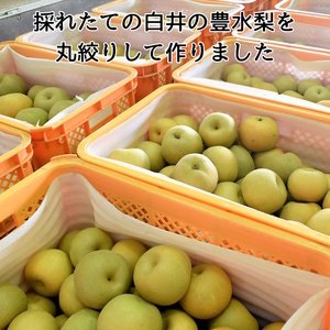白井の梨ジュース 1,000ml 6本セット 梨果汁100% ストレートジュース