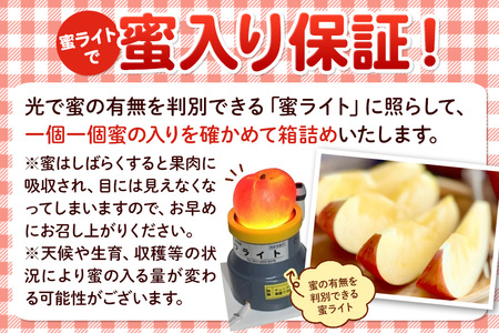 《蜜ライトで蜜入り保証！》葉とらず完熟ふじ 約5kg りんご