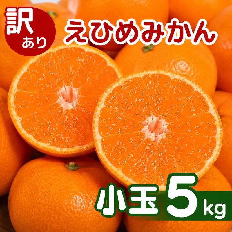 【先行予約】訳あり 愛媛みかん 小玉 5kg 傷み補償 250g 清家ばんかんビレッジ