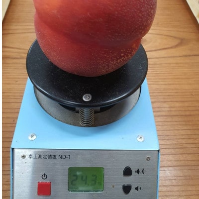 2027年発送先行受付【高糖度ばくだんネクタリン黎明】桃グランプリ日本一受賞＆5年連続TVで出演話題【配送不可地域：離島・北海道・沖縄県・中国・四国・九州】