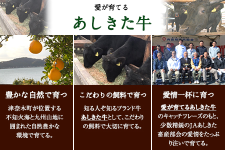 くまもと黒毛和牛 あしきた牛すきやき 熊本県産《60日以内に出荷予定(土日祝除く)》熊本県 葦北郡 津奈木町 あしきた農業協同組合 JAあしきた あしきた牛 和王 黒毛和牛 肉