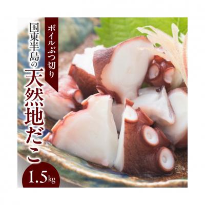 ふるさと納税 国東市 国東半島の天然地だこ 1.5kg_0013N-2