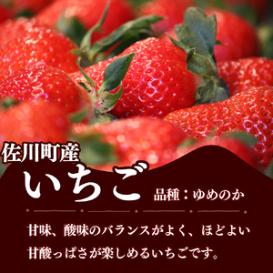 いちご　ゆめのか 250g×2パック　秀品　苺【期間・数量限定】贈答用　＜2027年1月下旬～3月下旬頃発送予定＞