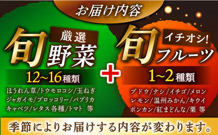 栽培期間中農薬不使用！旬のお野菜セット×もぎたてフルーツセット　愛媛県大洲市/有限会社ヒロファミリーフーズ [AGBX006]野菜果物フルーツ野菜果物フルーツ野菜果物フルーツ野菜果物フルーツ野菜果物フ