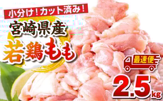 【最速便】宮崎県産若鶏 もも肉 2.5kg（250g×10パック）_M146-008_01-2W