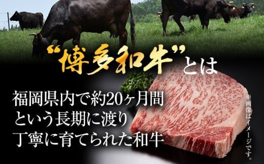 【厳選部位】【A4～A5】博多和牛サーロインブロック 約1kg 黒毛和牛 お取り寄せグルメ お取り寄せ お土産 九州 福岡土産 取り寄せ グルメ MEAT PLUS CP046