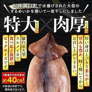 知床羅臼産 するめいかの一夜干し4枚セット（1枚250g前後）｜イカ