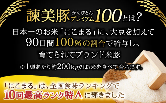 【3回定期便】諫早平野の米で育てた諫美豚プレミアム100お勧めセット3kg / 諫美豚 豚肉 肩ロース ステーキ モモ 切り落とし ハンバーグ ロースステーキ / 諫早市 / 株式会社土井農場 [AH