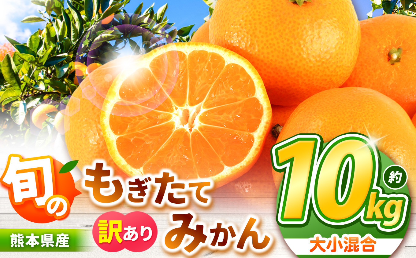 
旬のもぎたてみかん 約 10kg 大小混合 訳あり 果物 熊本県なごみ町産 | 熊本県 熊本 くまもと 和水町 なごみまち なごみ みかん ミカン 蜜柑 柑橘 柑橘類 温州 果物 フルーツ 不揃い キズ スレ
