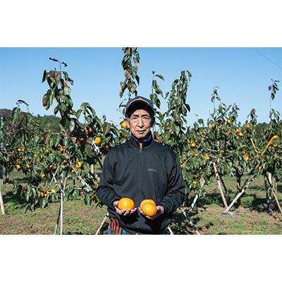 ふるさと納税 かすみがうら市 早生(わせ)柿の代表「早秋」約3.0kg以上(10個〜14個) |  | 03