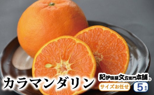 カラマンダリン 約5kg/サイズおまかせ　※2026年4月上旬～2026年5月上旬頃に順次発送予定(お届け日指定不可)　紀伊国屋文左衛門本舗 / カラマンダリン みかん 蜜柑 柑橘 果物 フルーツ 【kmtb470A】
