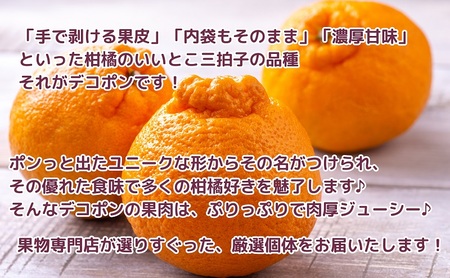 【2027年3月中旬より順次発送】厳選！濃厚ぷりっぷり「デコポン」約3kg フルーツ デザート 甘い 果物類 みかん 柑橘類 手で剥ける 果皮 甘味 果肉 肉厚 ジューシー 専門店 美味しい