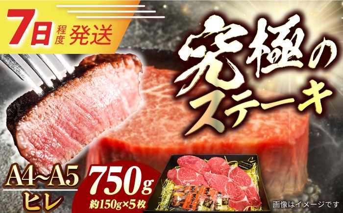 
            ヒレ ステーキ 長崎和牛 A4-A5 約150g×5枚 長与町/meat shop FUKU [ECS037]国産 牛肉 ヒレ ステーキ肉 A5 A4 ひれ ヒレ肉 ヒレステーキ肉 牛肉 希少部位 ひれすてーき 冷凍
          