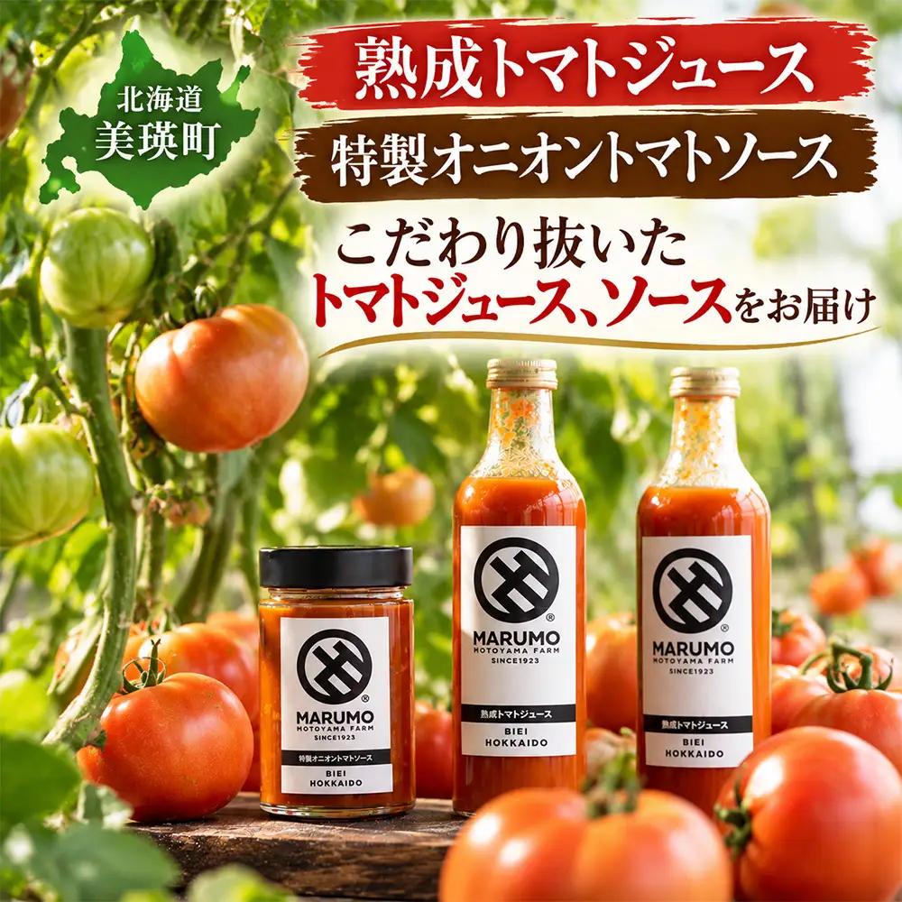 野菜定期便 4回便【令和9年産先行予約】本山農場の野菜定期便（小）野菜 トマトジュース ソース セット