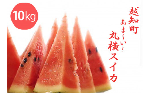  越知町のあま～いスイカ【約10kg　1玉】