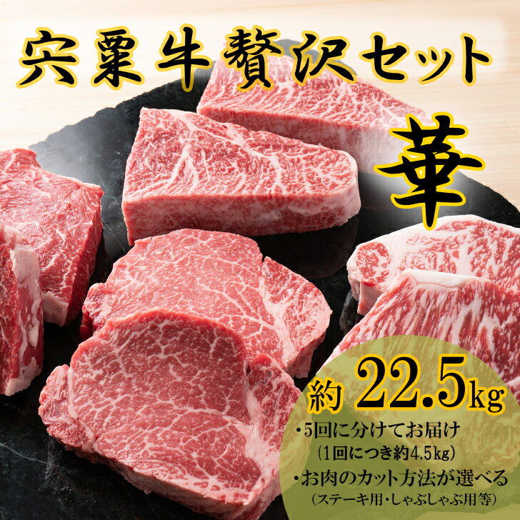 【ふるさと納税】F14　宍粟牛 贅沢セット　【華 22.5kg】 ステーキ しゃぶしゃぶ すき焼き ロース 定期発送 冷蔵発送 宍粟牛 国産和牛 黒毛和牛 国産　3年肥育
