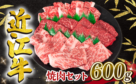 近江牛 焼肉セット 600g 冷凍 黒毛和牛 ( 和牛 国産 和牛 ブランド 和牛 三大和牛 三代 和牛 黒毛和牛 黒毛 和牛 近江牛 和牛 滋賀県 和牛 竜王町 和牛 産地直送 和牛 岡喜 和牛 )