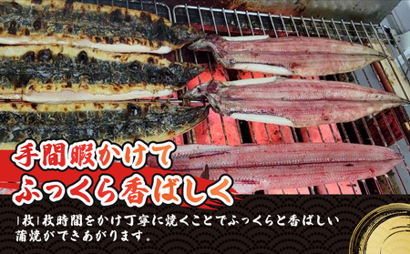 うなぎ蒲焼き 1尾 170g~180g 河野鮮魚店 (蒲焼たれ入) 【D015-177002】
