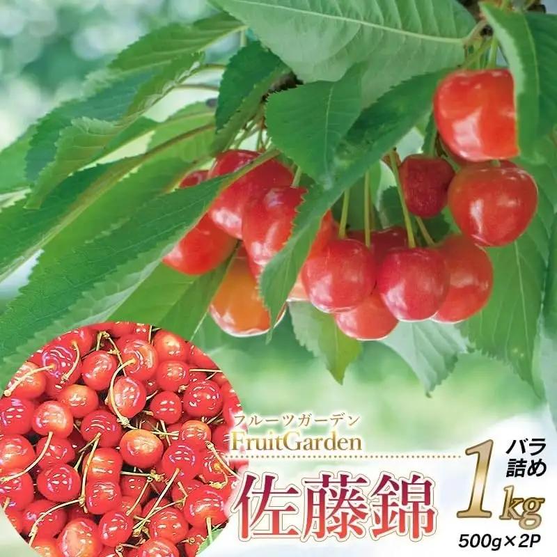 さくらんぼ 佐藤錦 バラ詰め L～2Lサイズ 1kg(500g×2) 山形県鶴岡市産 令和9年産 フルーツガーデン