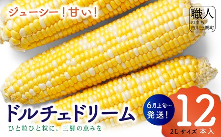 ドルチェドリーム　２Lサイズ　１２本入り　【2025年6月上旬から発送】　岩下農園[5839-2185]