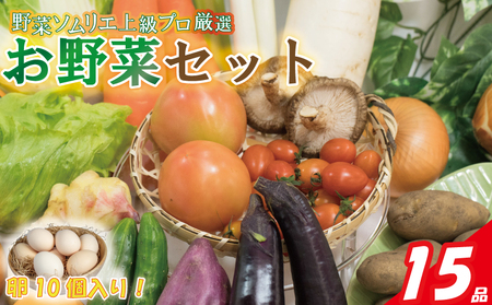 【野菜】 野菜セット 15品 ( みかんたまご 10個入り ) |  愛媛県 松山市【VEG038】