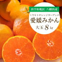 【ふるさと納税】西宇和地区八幡浜産 愛媛みかん 大玉8kg【訳あり】ミヤモトオレンジガーデン【C25-142】_ みかん ミカン 柑橘 フルーツ ふるーつ 果物 くだもの 青果 ワケアリ 訳あり 訳アリ 甘い 人気 大玉 愛媛 規格外 傷 不揃い 産直 産地直送 【1166254】