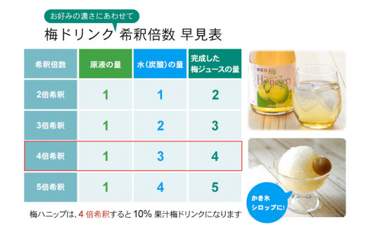 希釈用梅ドリンク 梅ハニップ 3本 / 飲料 ジュース 梅 ドリンク【prm005B】
