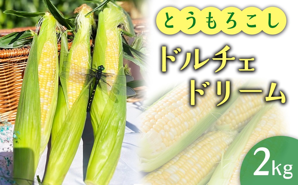 
                  2026年産 とうもろこし ドルチェドリーム 2kg ｜茨城県産 産地直送 甘い あまい ※2026年6月～発送
                