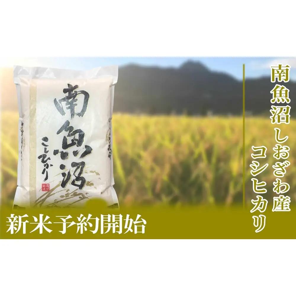 【令和8年産　新米予約】定期便／5kg×3ヶ月 生産者限定 南魚沼しおざわ産コシヒカリ【定期便 銘柄米 ブランド米 精米 こしひかり コシヒカリ 魚沼産 新潟米 ごはん】【2026年10月上旬から1ヶ月以内に順次発送予定】