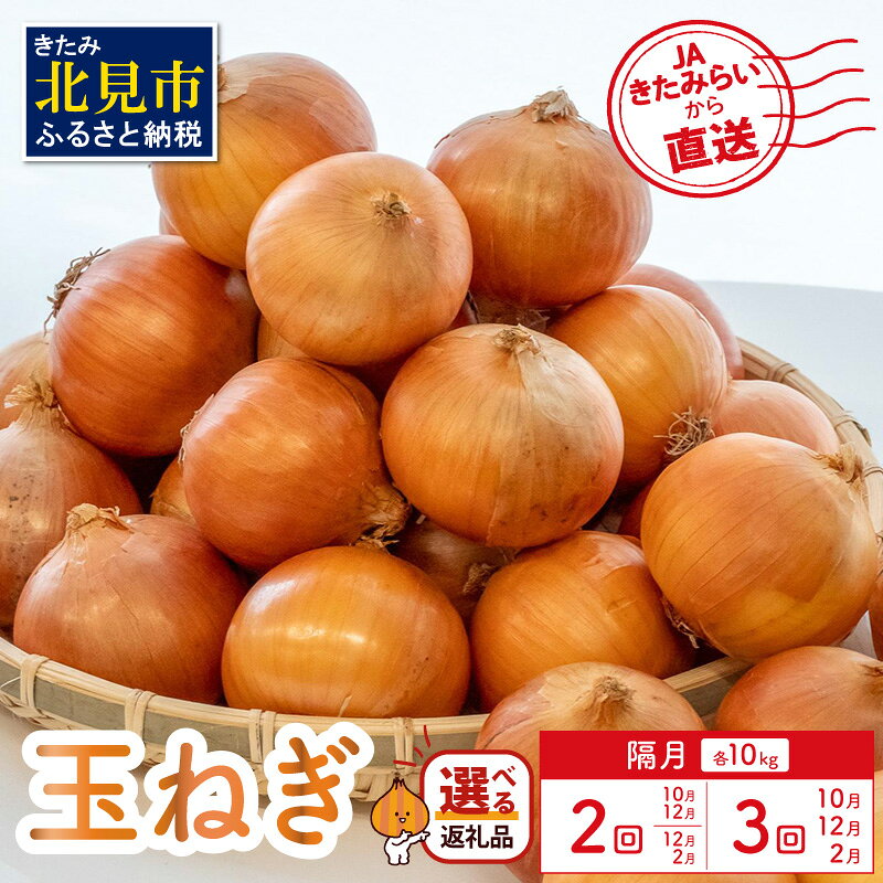 【ふるさと納税】【選べる回数（隔月）】JAきたみらいから直送する新鮮玉ねぎ 10kg Lサイズ以上 10月 12月 2月 ( 10kg 野菜 選べる回数 定期便 玉葱 たまねぎ 隔月定期便 10kg 秋 旬 )
